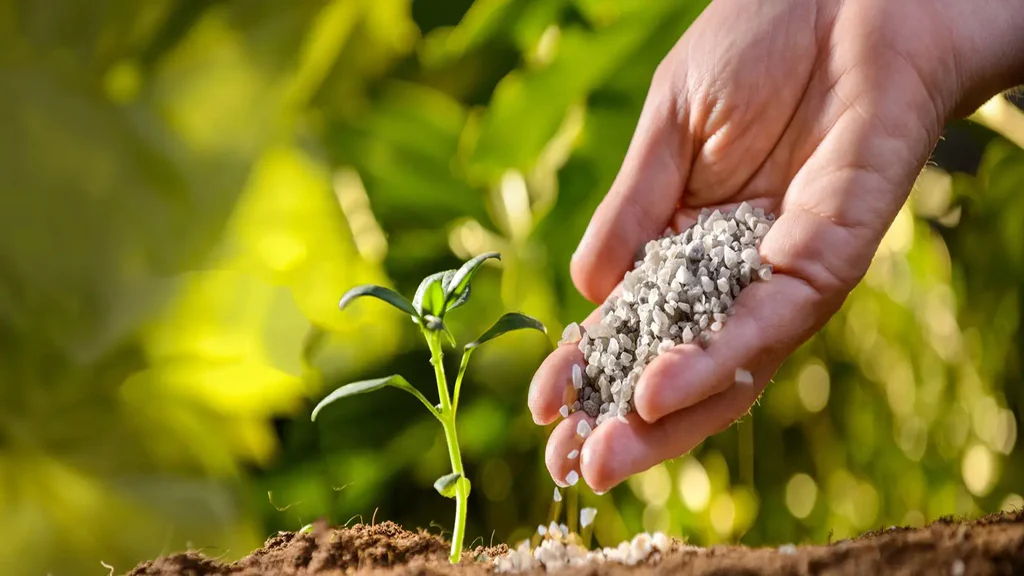 Fertilizer